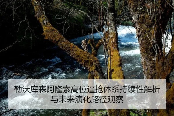 勒沃库森阿隆索高位逼抢体系持续性解析与未来演化路径观察