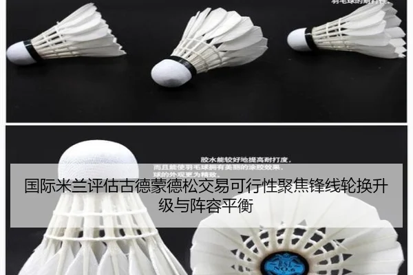 国际米兰评估古德蒙德松交易可行性聚焦锋线轮换升级与阵容平衡